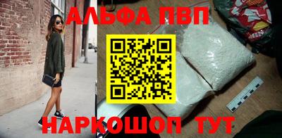 спиды Кингисепп