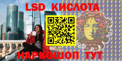 спиды Кингисепп