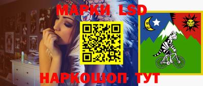 спиды Кингисепп