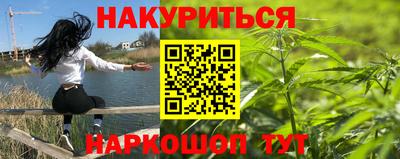 спиды Кингисепп