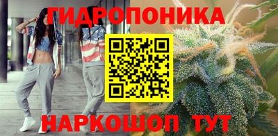 спиды Кингисепп