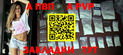 спиды Кингисепп