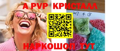спиды Кингисепп